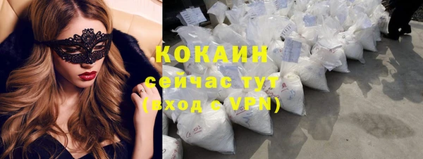 дмт Козельск